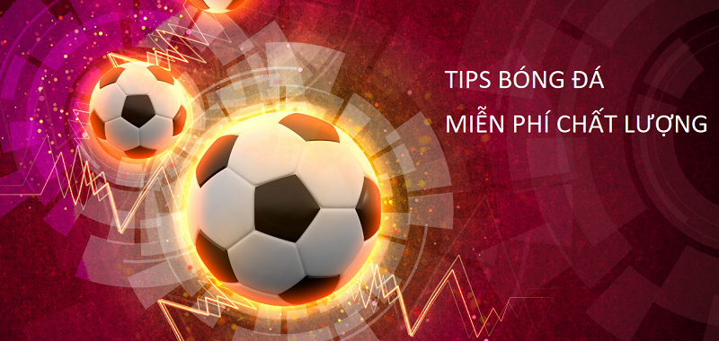 Tip bóng đá là gì? Có nên tìm mua tips bóng đá trên mạng? 5 Có nên chọn mua tips bóng đá qua mạng hay không?
