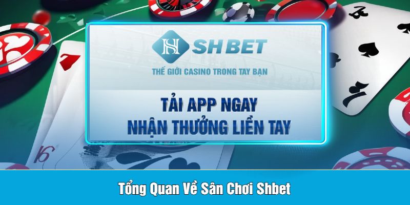 Shbet - Cập Nhật Link Vào Mới Nhất 2024 Dành Cho Cược Thủ 7 Tổng Quan Về Sân Chơi Shbet