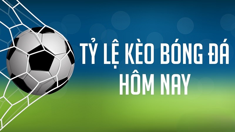 Cách đọc tỷ lệ kèo nhà cái bóng đá trực tuyến chi tiết 4 tỷ lệ kèo nhà cái là gì