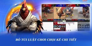 Bỏ túi luật chơi chọi kê chi tiết tại pg88 