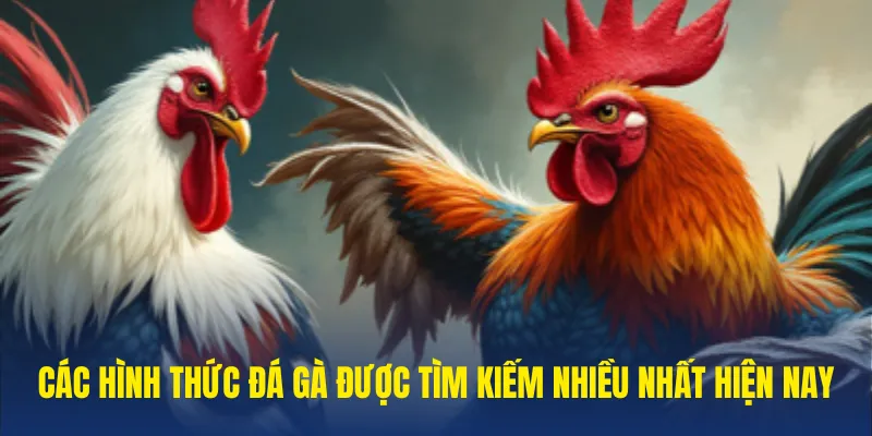 Đá gà - Cơ Hội Trải Nghiệm Nhiều Trận Đấu Kịch Tính Và Hấp Dẫn Tại sin88 5 Thể loại đá gà hot trend hiện nay