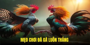 meo choi da ga hien nay