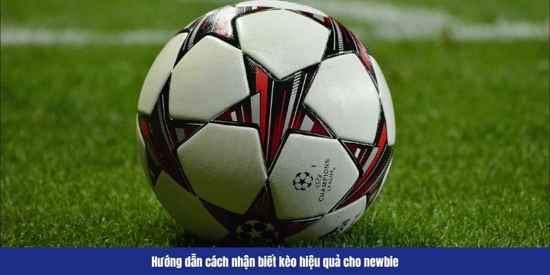 Kèo Đồng Banh FB88 – Cách Nhận Biết Và Phân Tích Kèo Chuẩn 5 Hướng dẫn cách nhận biết kèo hiệu quả cho newbie